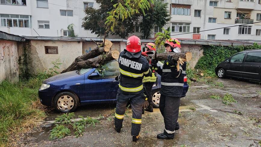 Masina avariata  dupa ce un copac a cazut peste ea | imaginea 1
