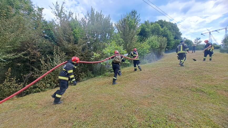 Numeroase incendii de vegetatie in judetul Arges | imaginea 1