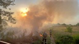 Numeroase incendii de vegetatie in judetul Giurgiu | imaginea 1