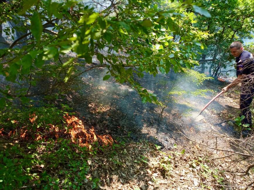 O noua zi de foc pentru pompierii mehedinteni | imaginea 1