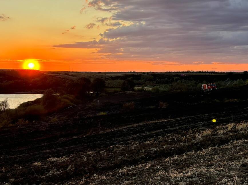 Opt incendii pe o suprafata de 140 de hectare | imaginea 1