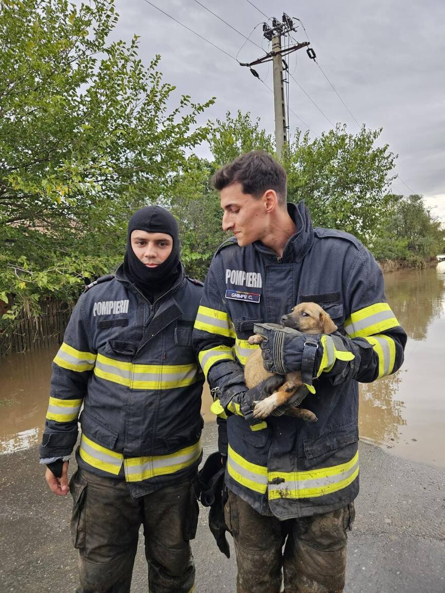 Fiecare viata conteaza pentru pompieri | imaginea 1