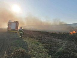 Incendii  accidente rutiere si alte misiuni | imaginea 1