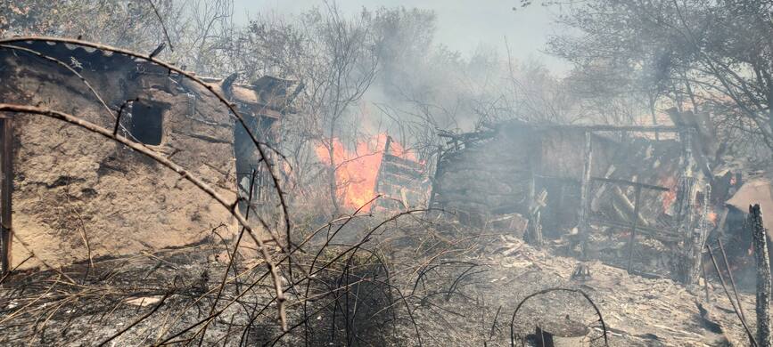 Incendiile de vegetatie uscata provoaca pagube | imaginea 1