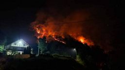 Incendiu de vegetatie si fond forestier in judetul Valcea | imaginea 1