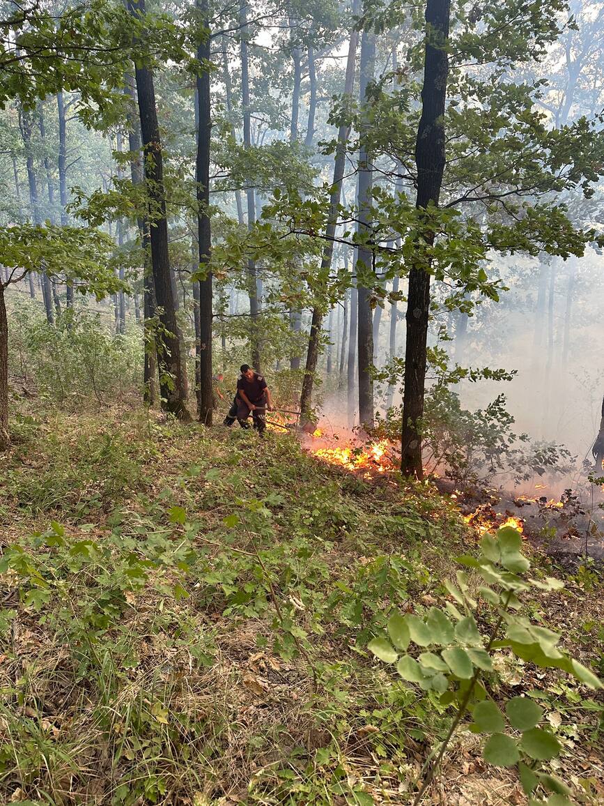 Incendiu intins pe o suprafata de 200 de hectare | imaginea 1