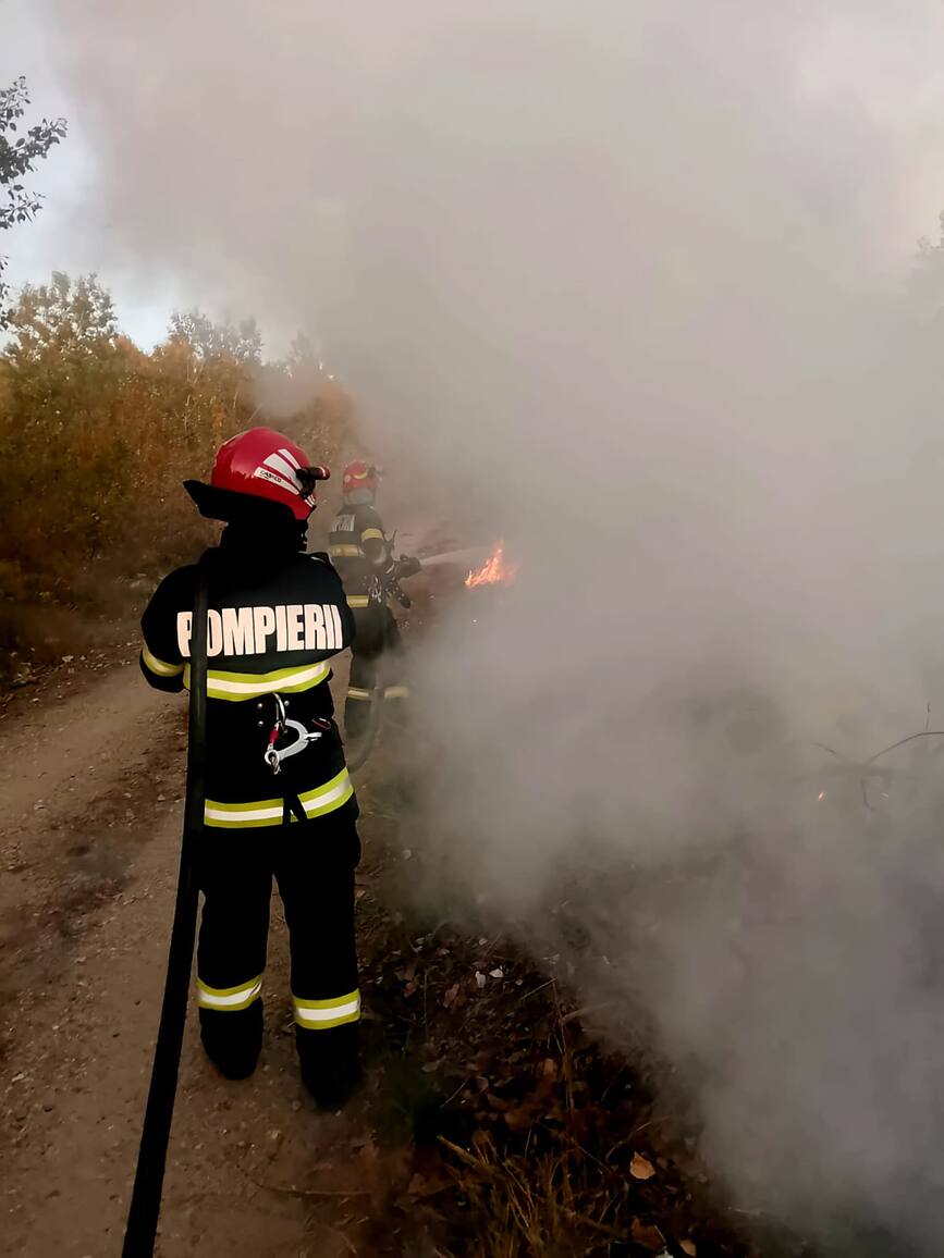 Cinci incendii de vegetatie in interval de cateva ore | imaginea 1
