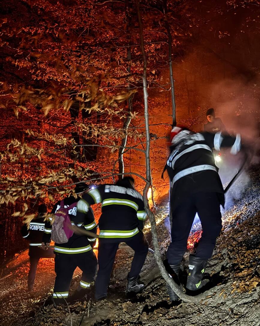 Incendiu de padure intr o zona greu accesibila | imaginea 1