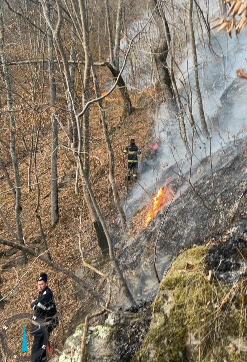 Incendiu de vegetatie la fondul forestier | imaginea 1