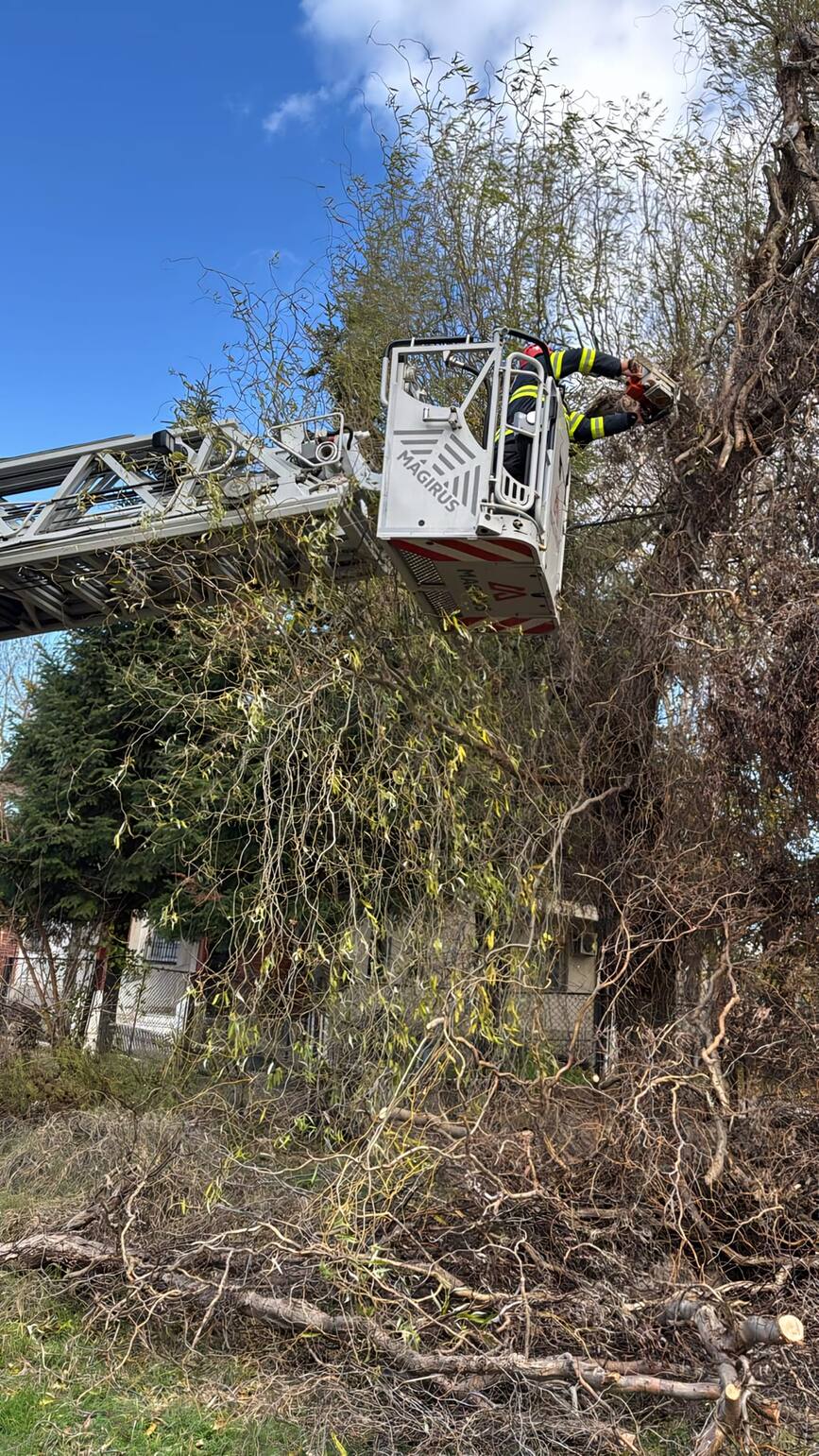 Interventii dupa intensificari ale vantului in Giurgiu | imaginea 2