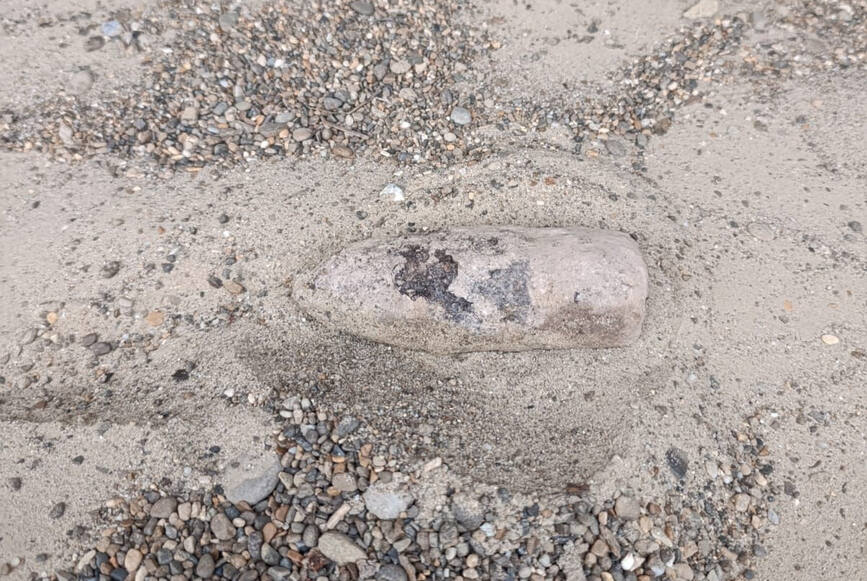 Proiectil descoperit in padure de un detectorist amator | imaginea 1