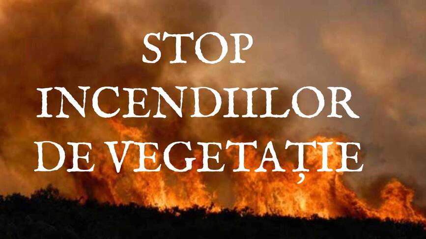 Pompierii hunedoreni se lupta cu incendiile de vegetatie | imaginea 1