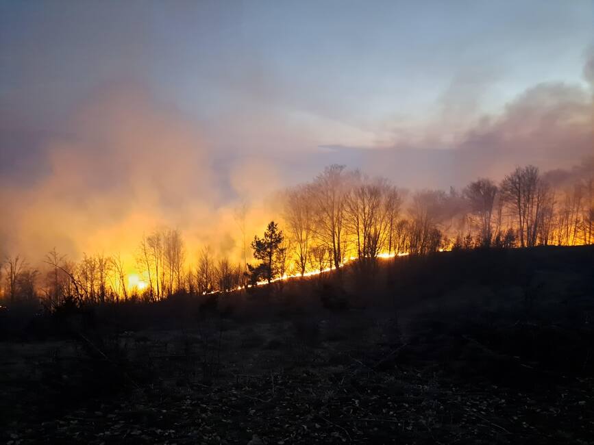 60 de incendii de vegetatie in mai multe localitati hunedorene | imaginea 1