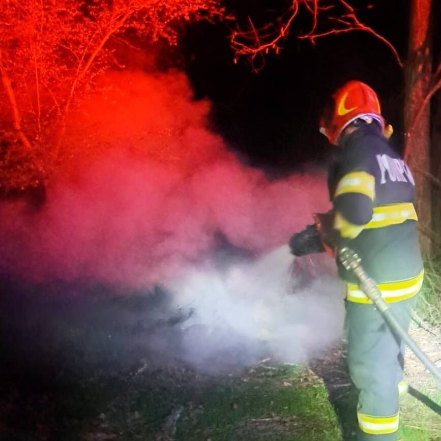 Doua incendii in aceeasi zi   Masina si vegetatie in flacari | imaginea 2