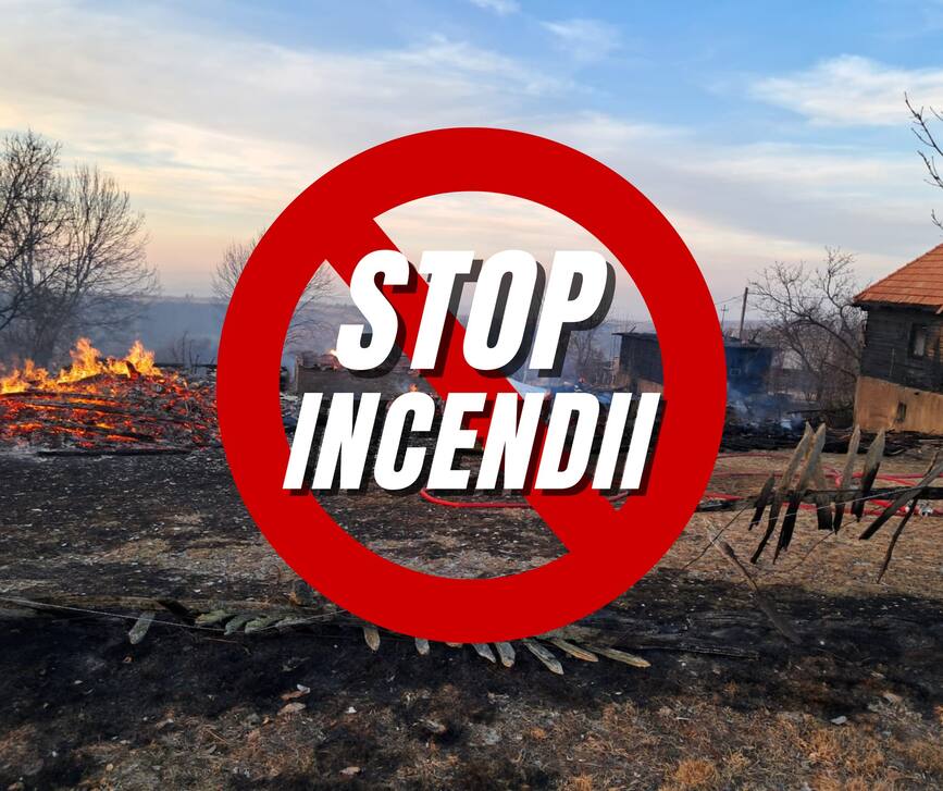 Eforturi considerabile pentru stingerea incendiilor de vegetatie uscata | imaginea 1