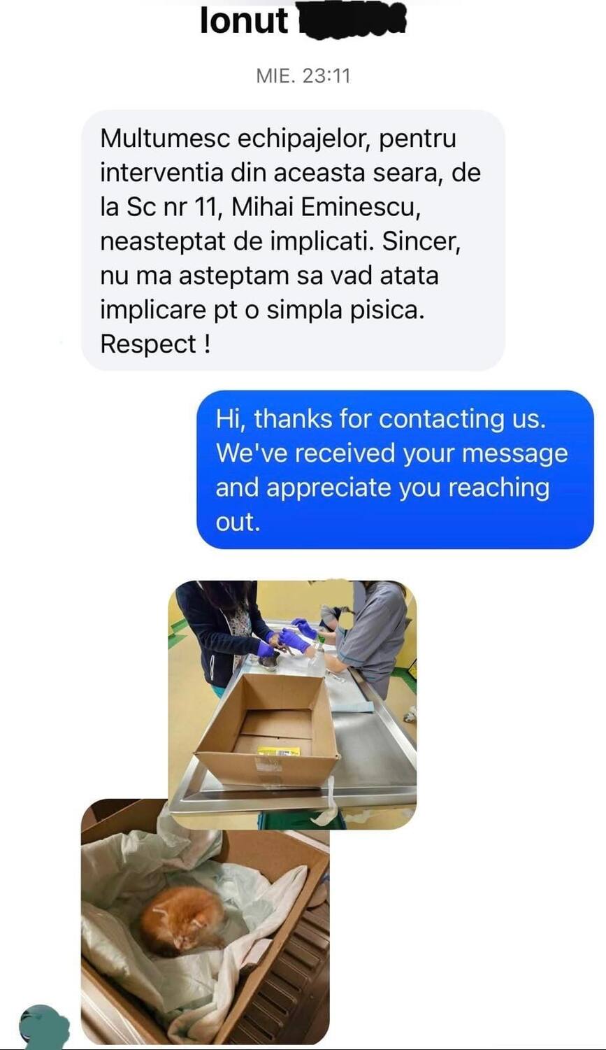 Au intervenit pentru salvarea unei pisicute | imaginea 1