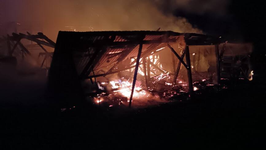 Mai multe animale au pierit intr un incendiu de gospodarie | imaginea 1