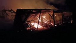 Mai multe animale au pierit intr un incendiu de gospodarie | imaginea 1
