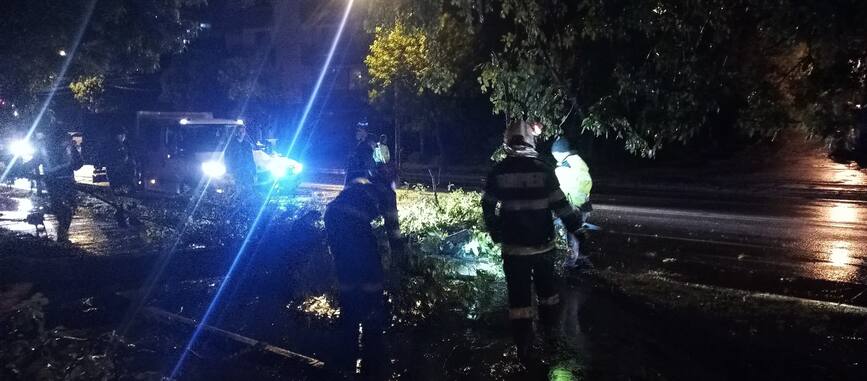 Interventii in urma fenomenelor meteo periculoase | imaginea 1