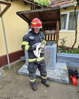 Pisica salvata dintr o fantana adanca de 10 metri | imaginea 1