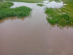 Precipitatii abundente in judetul Vaslui | imaginea 1