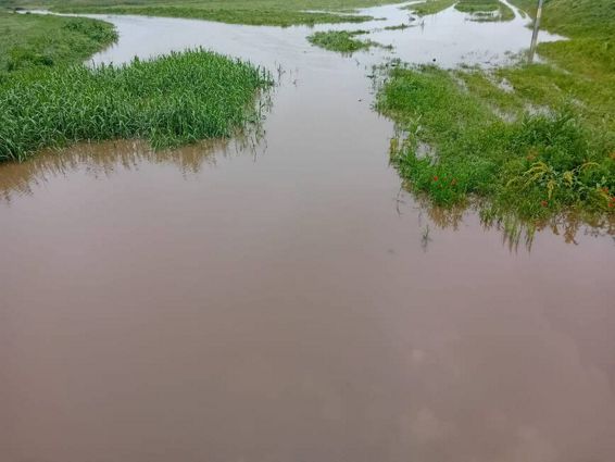 Precipitatii abundente in judetul Vaslui | imaginea 1