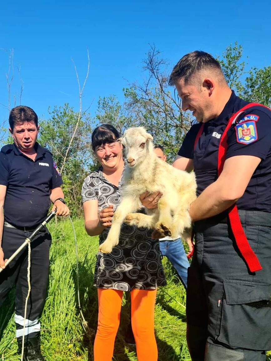 Un suflet salvat  o misiune indeplinita | imaginea 1