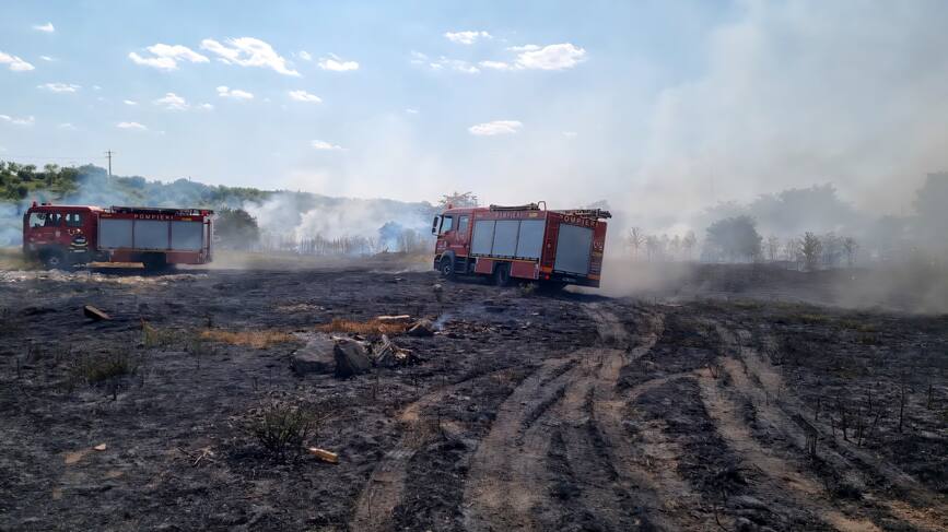 Incendiu devastator pornit de la vegetatia uscata | imaginea 1