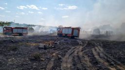 Incendiu devastator pornit de la vegetatia uscata | imaginea 1