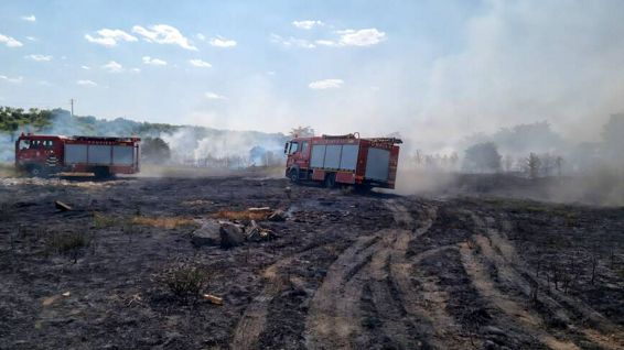 Incendiu devastator pornit de la vegetatia uscata | imaginea 1