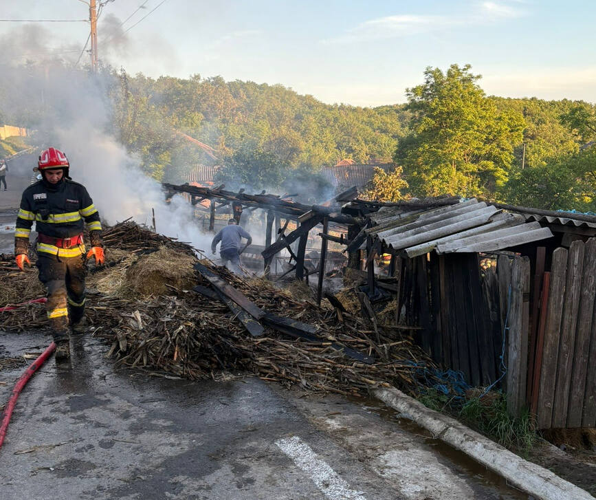 Incendiu la un depozit de furaje | imaginea 1