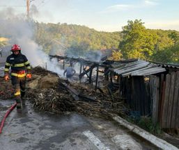Incendiu la un depozit de furaje | imaginea 1