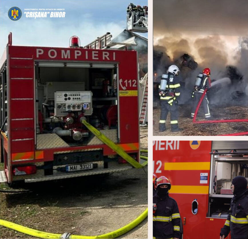 Incendiu la un depozit din Salonta | imaginea 2