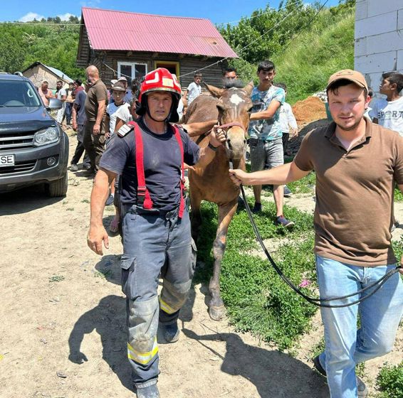 Misiune de salvare reusita Cal cazut intr un put adanc | imaginea 1