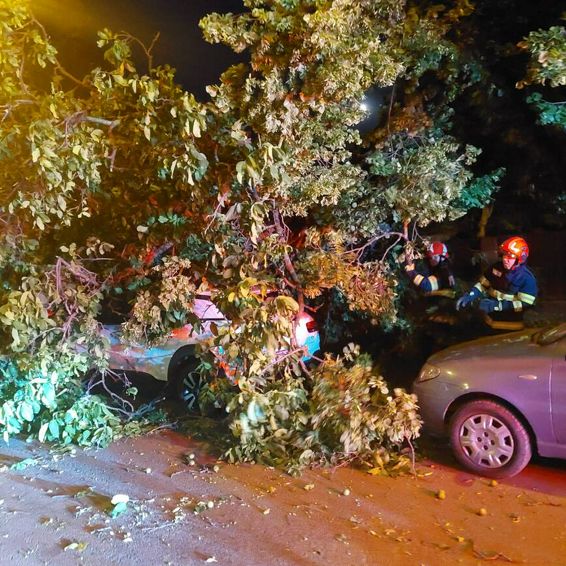 Copac prabusit peste masina interventie in Iasi | imaginea 1