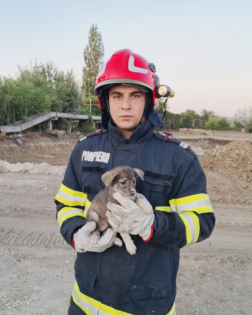 Incendii  accidente rutiere si doua suflete salvate | imaginea 1