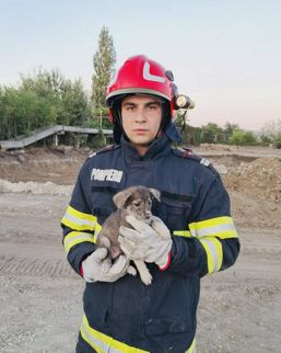 Incendii  accidente rutiere si doua suflete salvate | imaginea 1