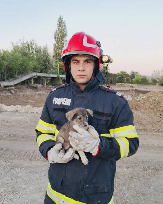 Incendii accidente rutiere si doua suflete salvate | imaginea 1
