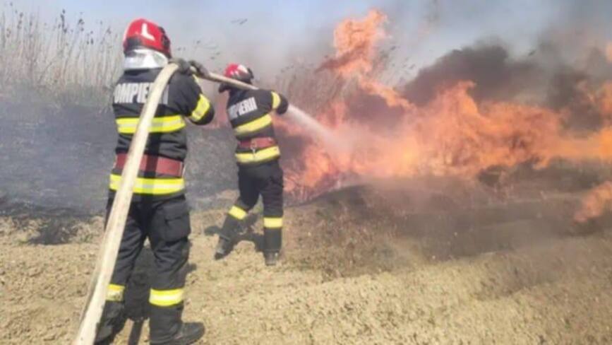 Incendiile de vegetatie produc victime umane | imaginea 1