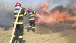 Incendiile de vegetatie produc victime umane | imaginea 1