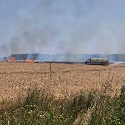 Incendiu de proportii   Au fost salvate locuinte si o padure | imaginea 1