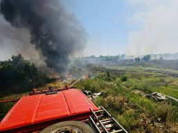 Incendiu de vegetatie uscata pe un teren din Giurgiu | imaginea 1