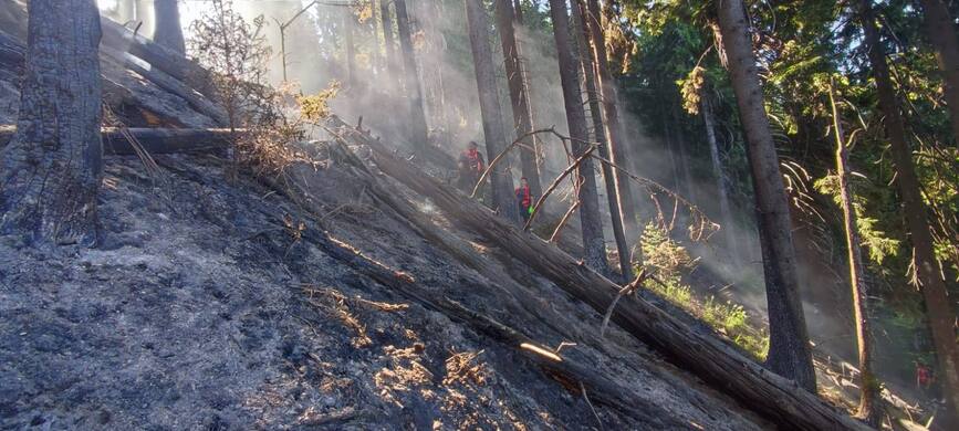 Incendiul din Muntii Tibles a fost lichidat | imaginea 1