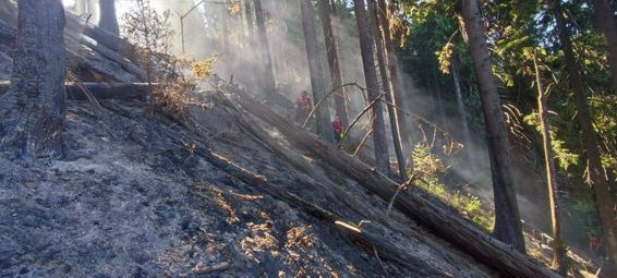 Incendiul din Muntii Tibles a fost lichidat | imaginea 1
