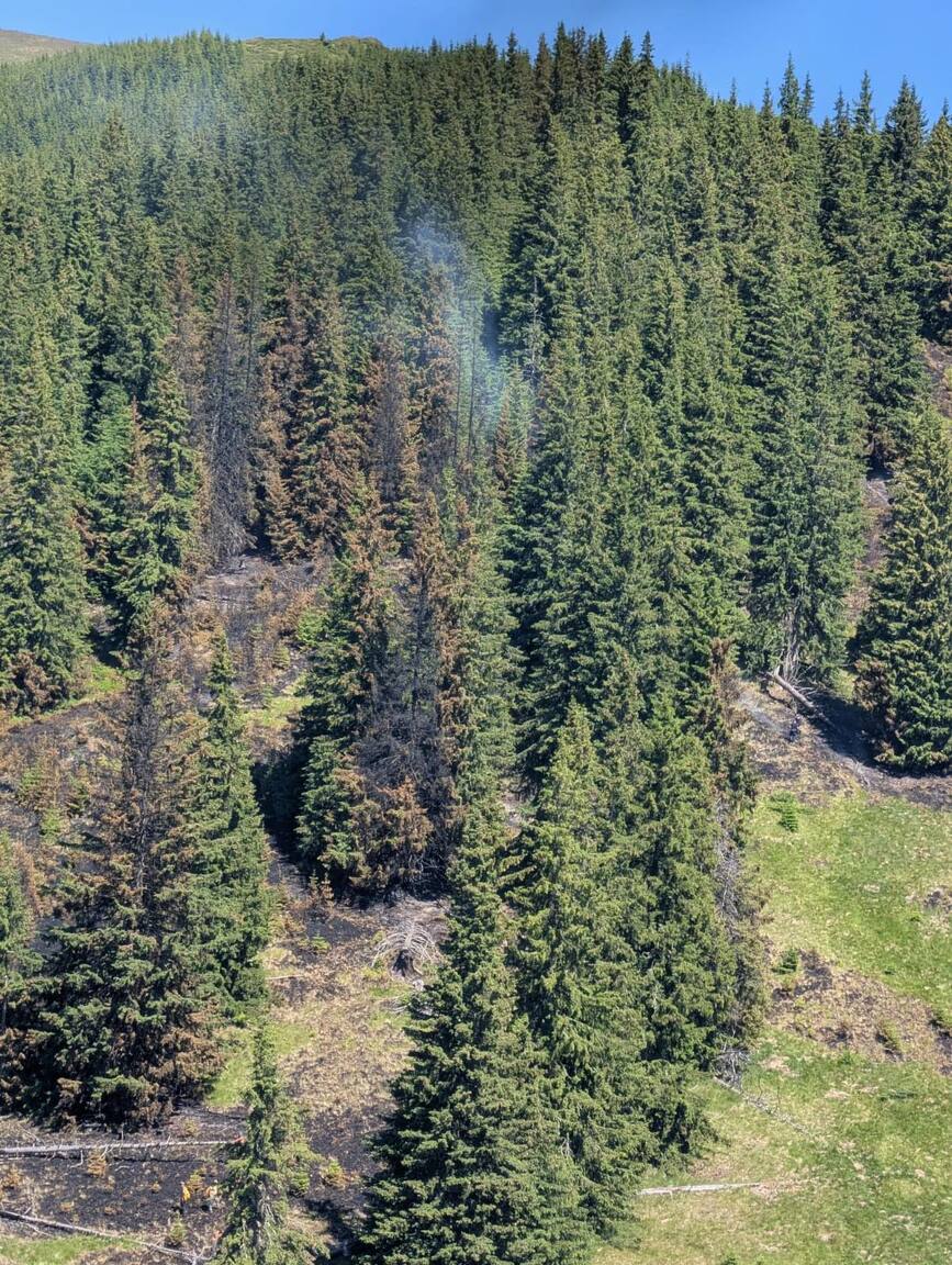 Incendiul din comuna Rucar a fost lichidat | imaginea 2