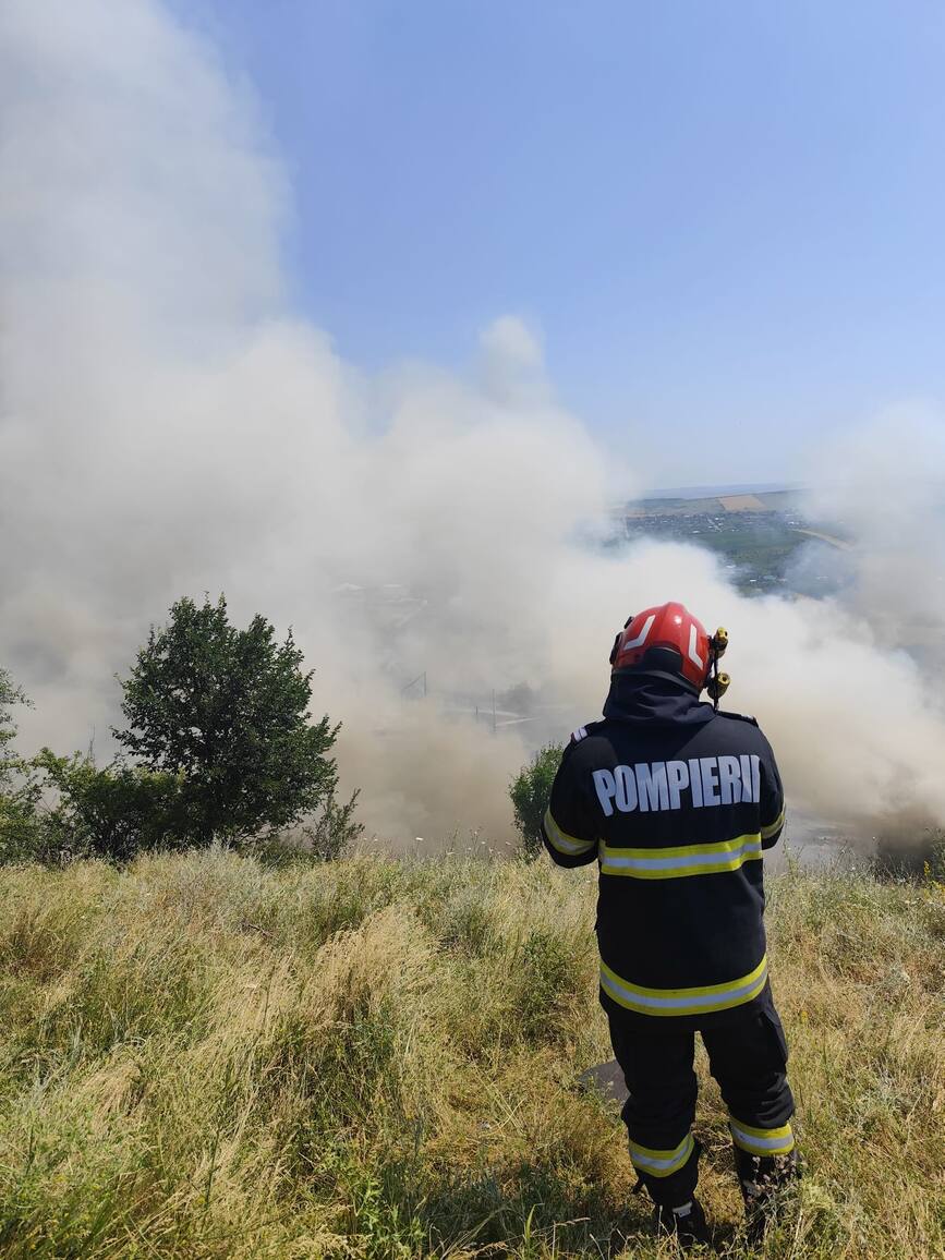 Interventie dificila la un incendiu de vegetatie | imaginea 1