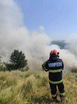 Interventie dificila la un incendiu de vegetatie | imaginea 1