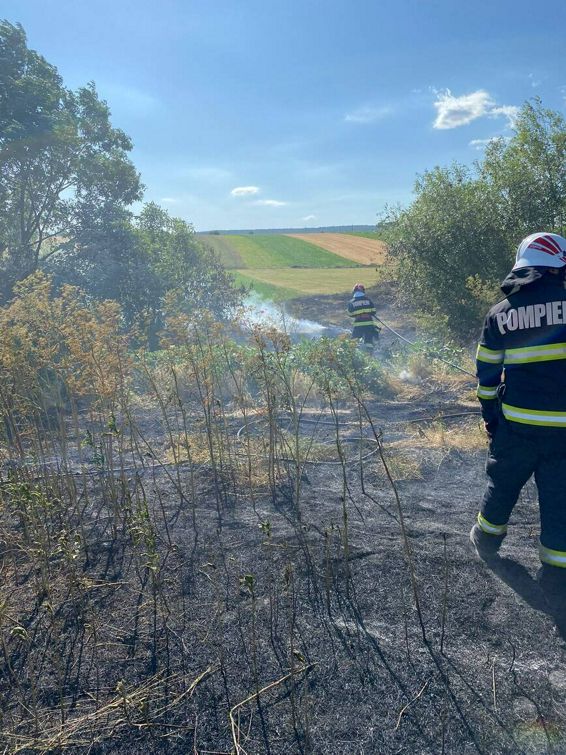 Interventie prompta la un incendiu de vegetatie | imaginea 1