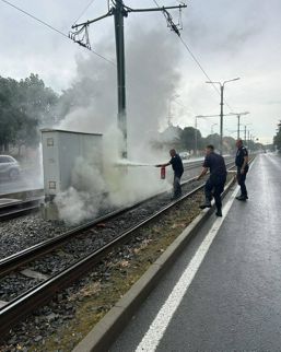 Interventie spontana in Arad | imaginea 1