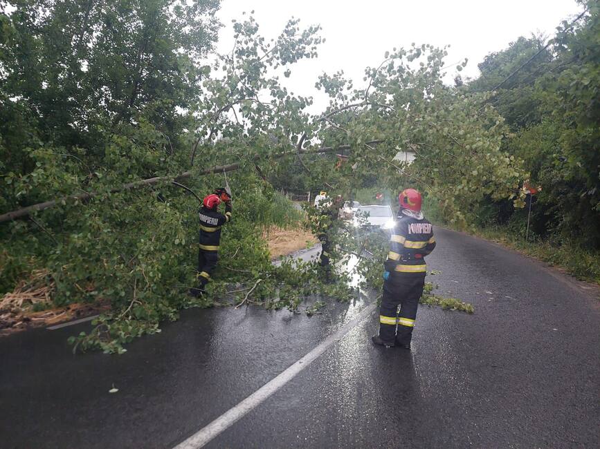 Interventii in urma fenomenelor meteo periculoase | imaginea 1
